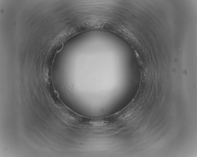 X0000072930693200608111536