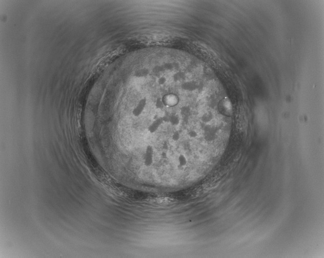 X0000072930695200608111536