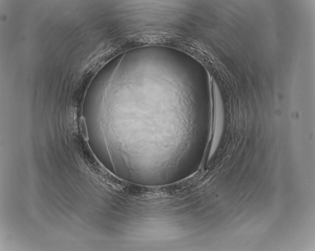 X0000072930696200608111536