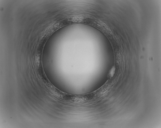 X0000072930697200608111536