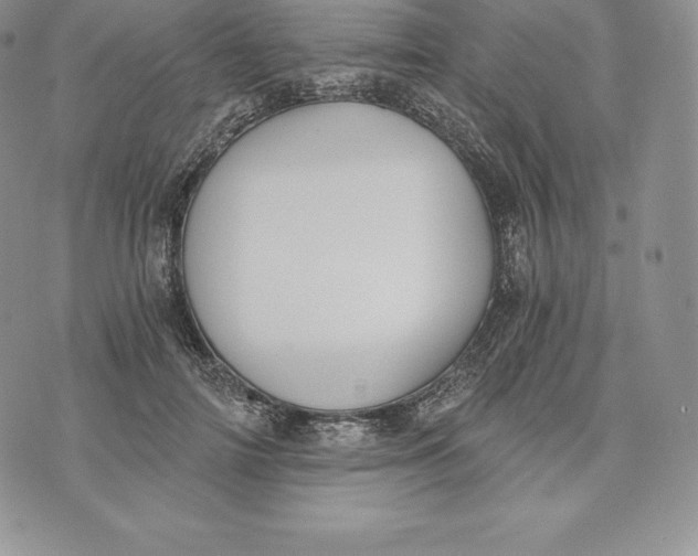 X0000072930698200608111535