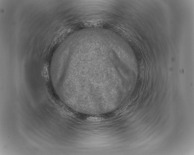 X0000072930699200608111535