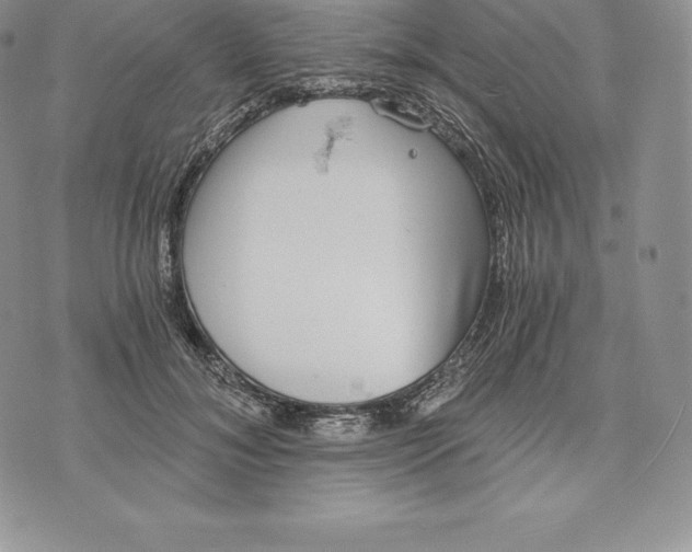 X0000072930700200608111535