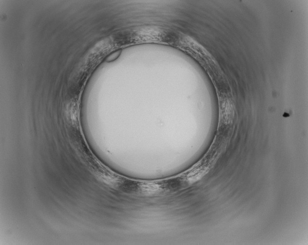 X0000072930701200608111535