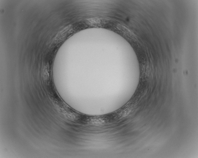 X0000072930702200608111535