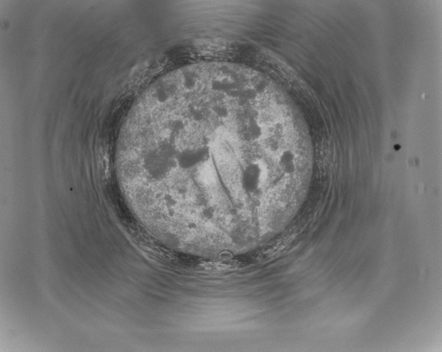 X0000072930703200608111535