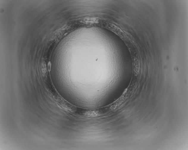 X0000072930704200608111535