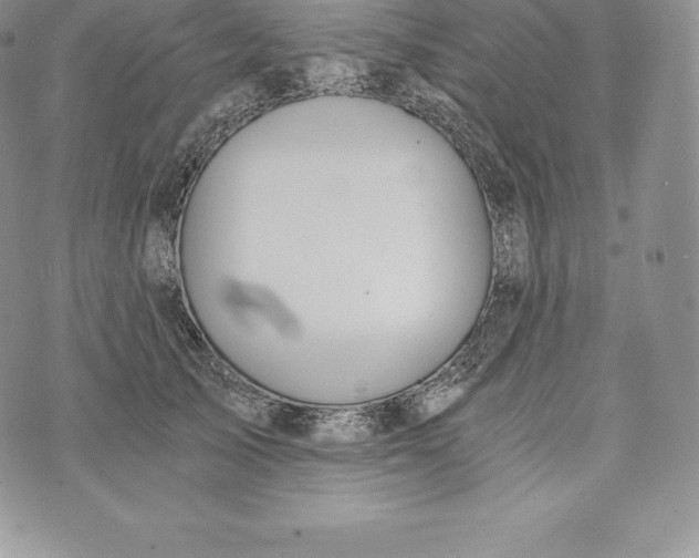 X0000072930705200608111535