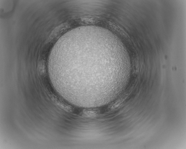 X0000072930706200608111535