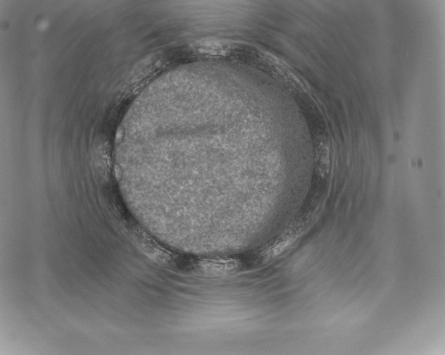 X0000072930707200608111535