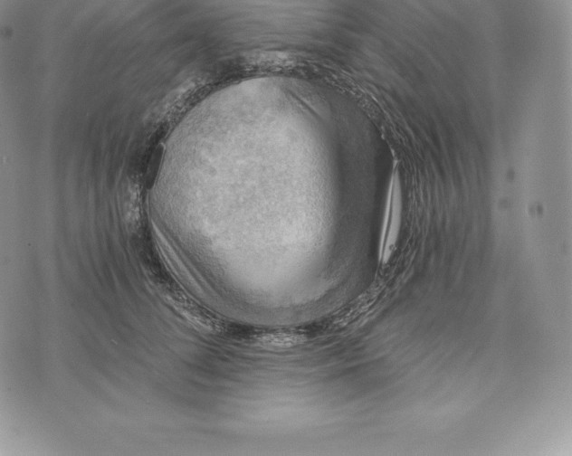 X0000072930708200608111535