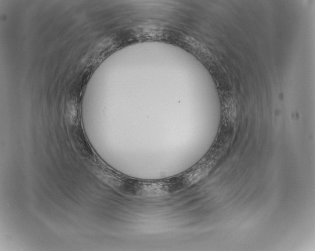 X0000072930709200608111535