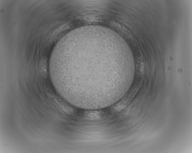 X0000072930710200608111535