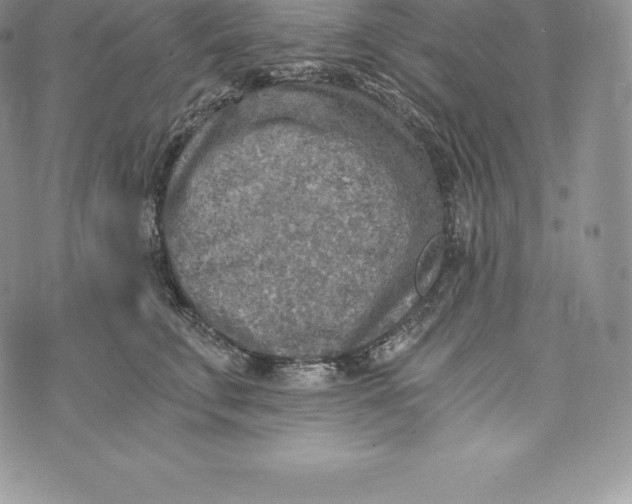 X0000072930711200608111535