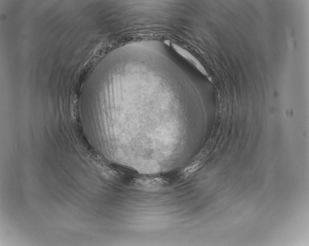 X0000072930712200608111535