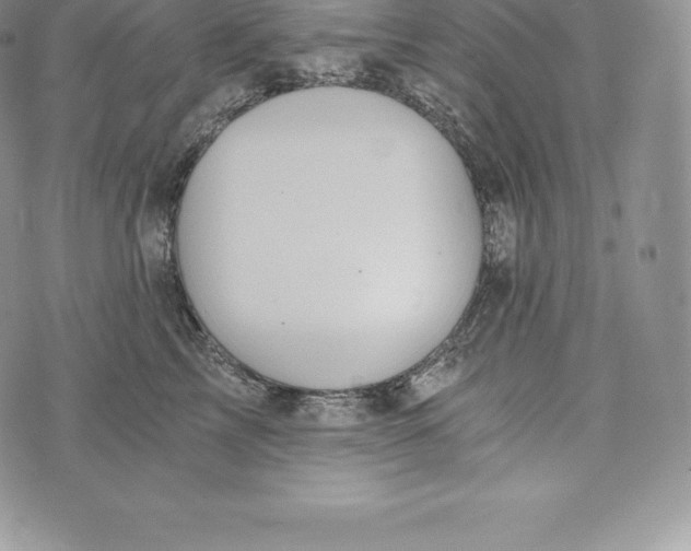 X0000072930713200608111535