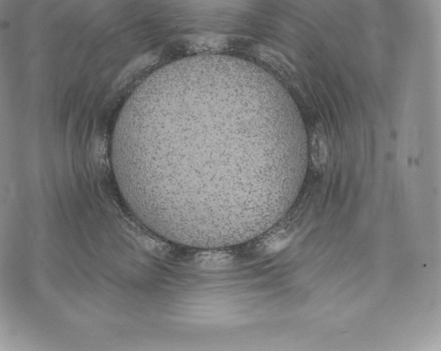 X0000072930714200608111535