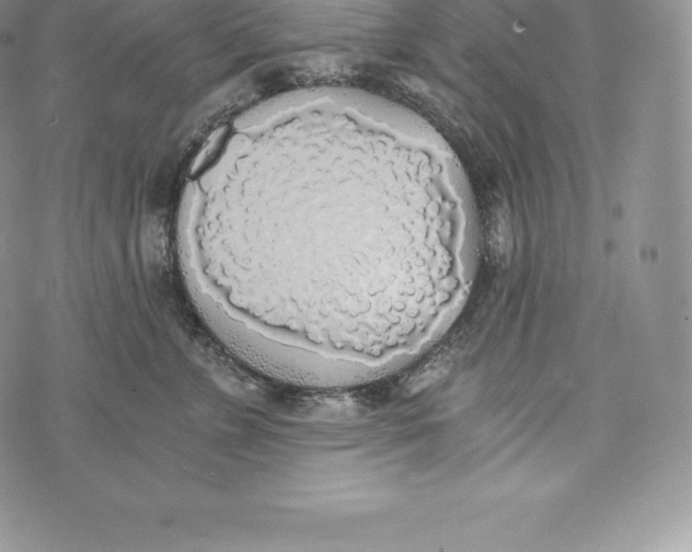 X0000072930715200608111535