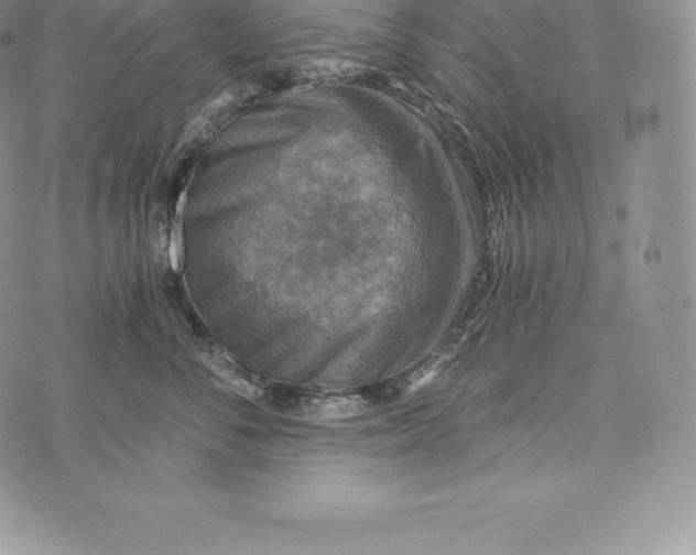 X0000072930716200608111535