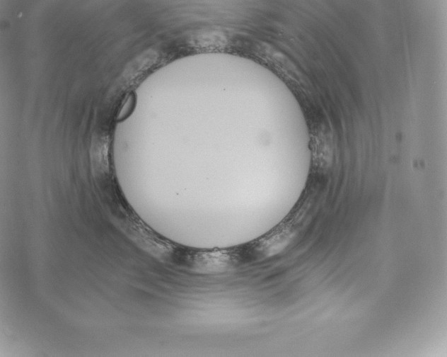 X0000072930717200608111535