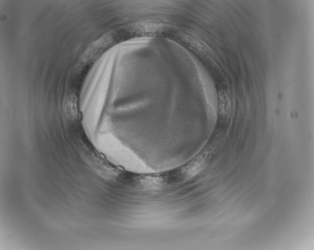 X0000072930718200608111535