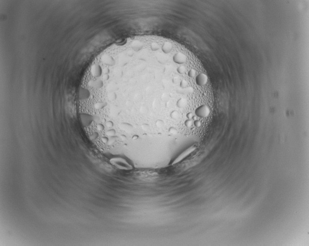 X0000072930719200608111535