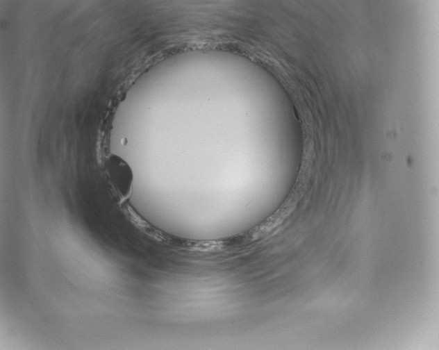 X0000072930720200608111535