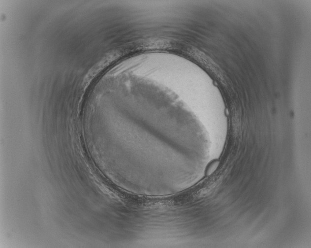 X0000072930721200608111534