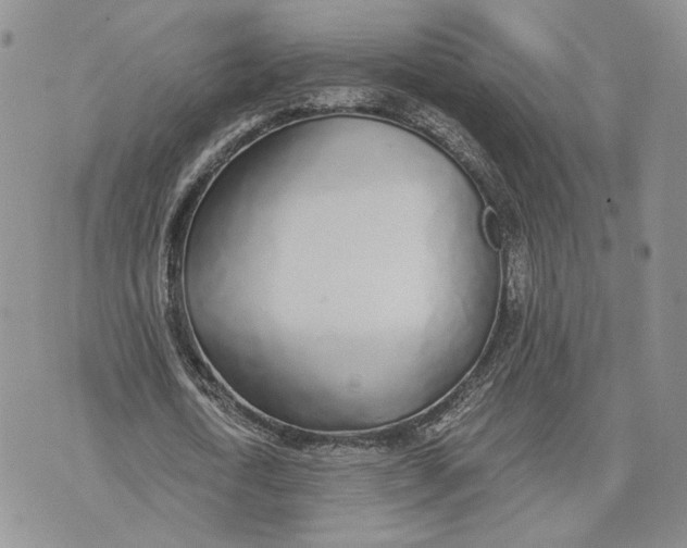 X0000072930722200608111534