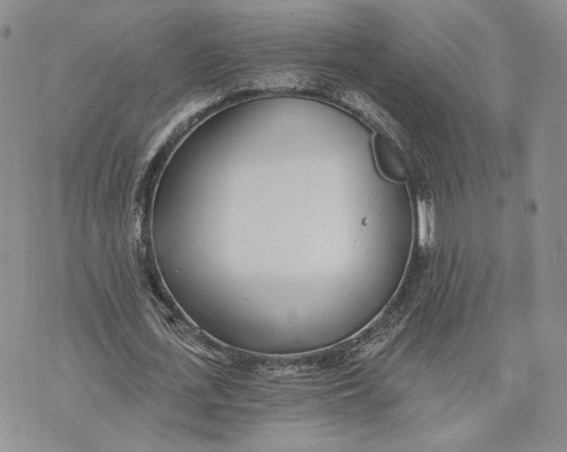 X0000072930723200608111534