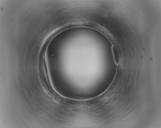 X0000072930724200608111534