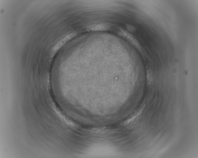 X0000072930725200608111534