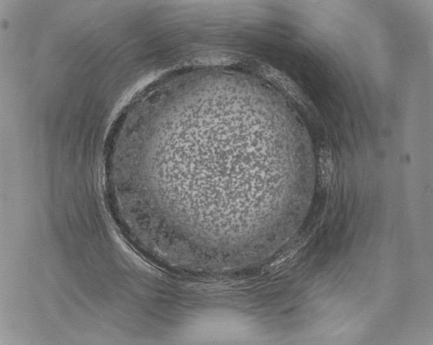 X0000072930726200608111534