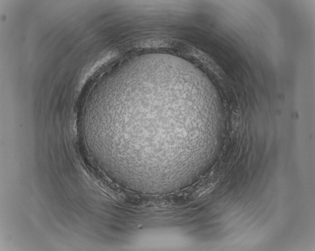 X0000072930727200608111534