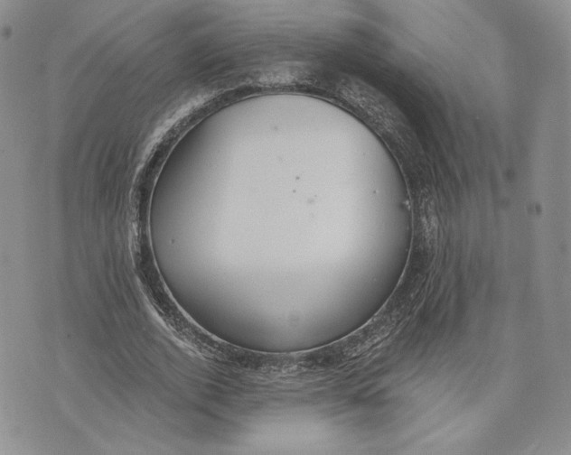 X0000072930728200608111534