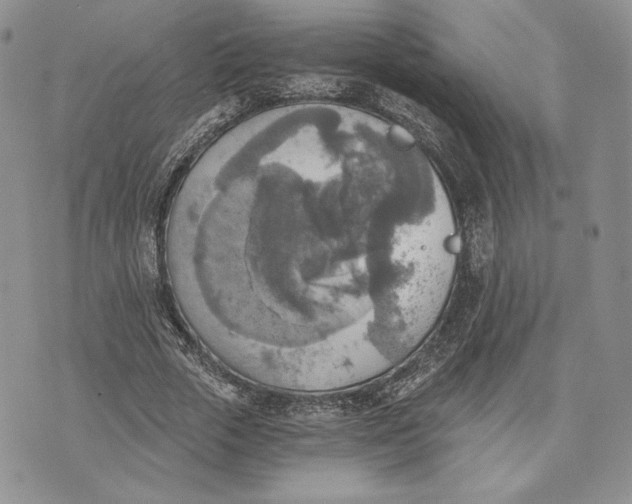 X0000072930729200608111534