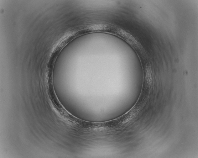 X0000072930730200608111534