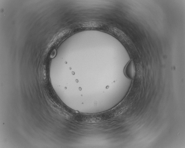 X0000072930731200608111535