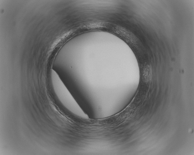 X0000072930732200608111535