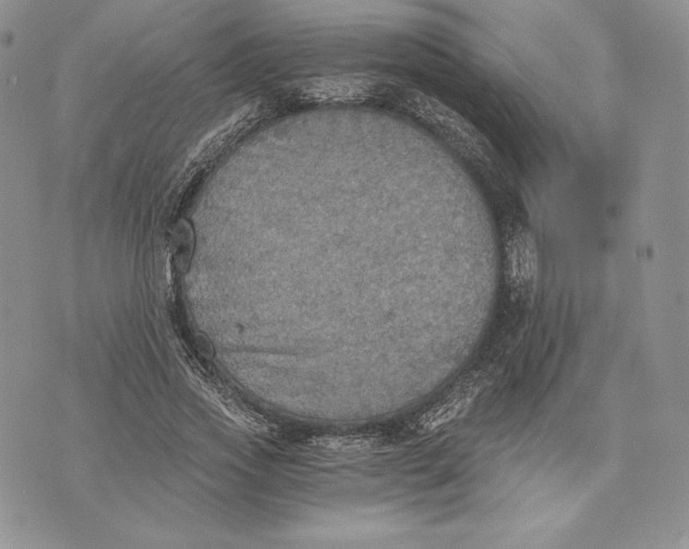 X0000072930733200608111535