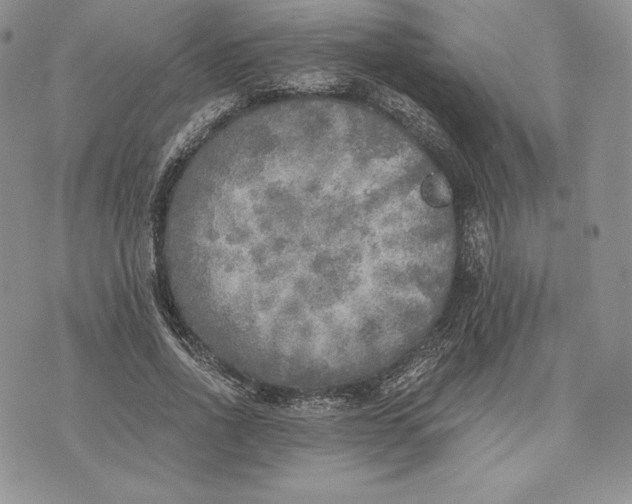 X0000072930734200608111535