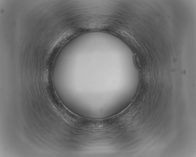 X0000072930735200608111535