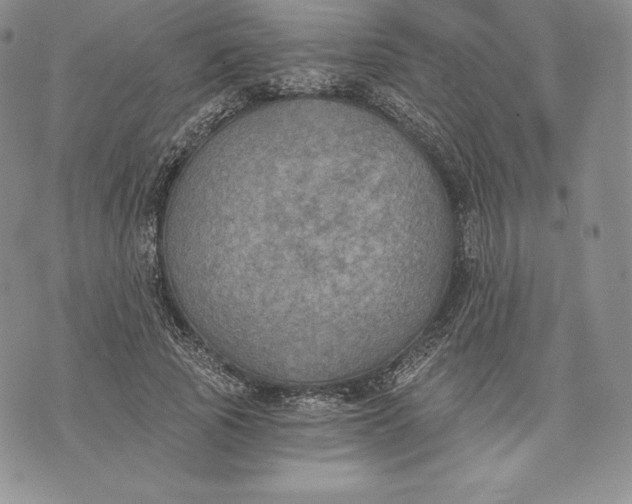 X0000072930737200608111535