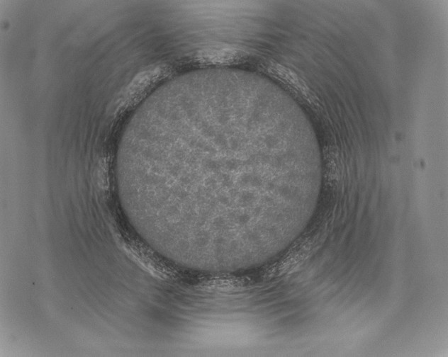 X0000072930738200608111535