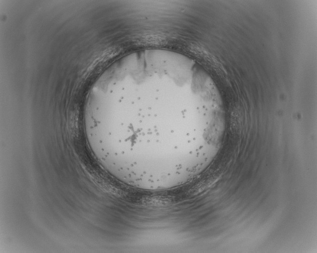 X0000072930739200608111535