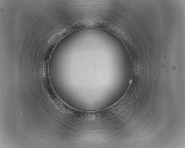 X0000072930740200608111535