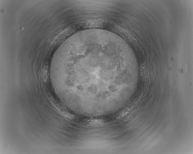 X0000072930741200608111535