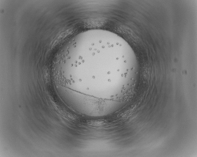 X0000072930743200608111535