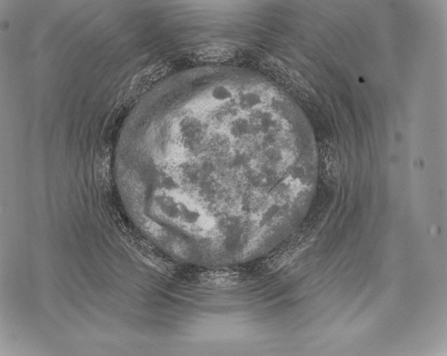 X0000072930745200608111535