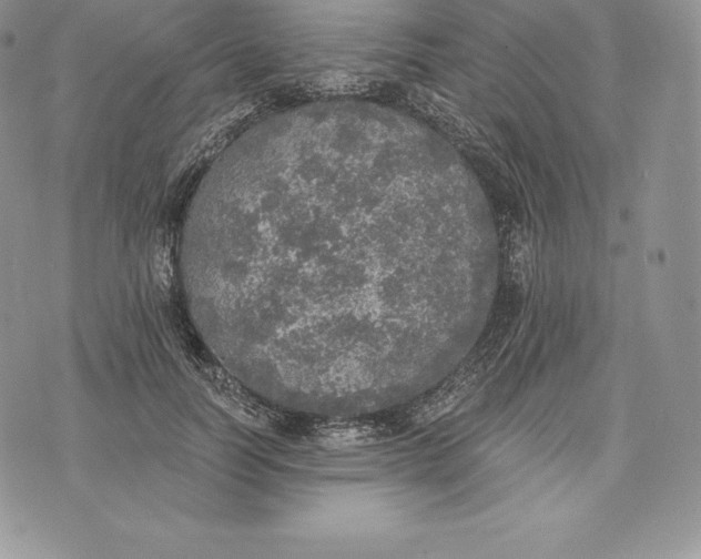 X0000072930746200608111535